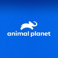 animalplanet