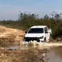 original sound