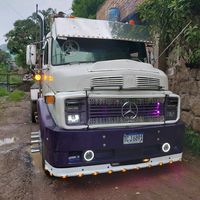 cruz881