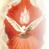 original sound - sahilcreation83