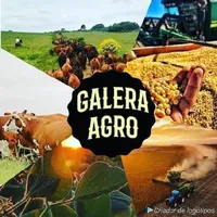 original sound - galeradoagro31