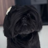 esmekz