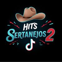 hits.sertanejos2
