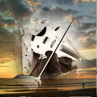 original sound - maestro_nikulaitsa