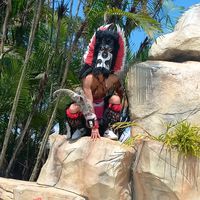 richi.lobito.solitario