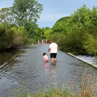 original sound - javierduarte_uy