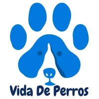 original sound - vidadperros