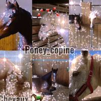 poney_copine