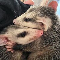 hug me bring it in