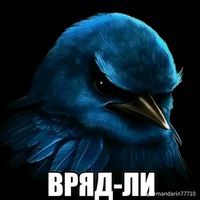 krutoy_67_real