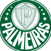 clubpalmeiras2024