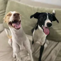 original sound - luna_e_thor