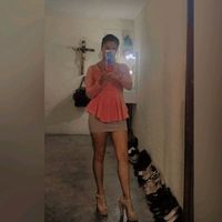 dian_3693