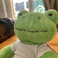 macaroon.frog