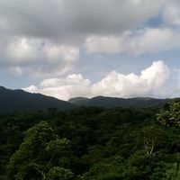lachapina4817