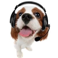 original sound