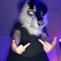 mosthatedmutt