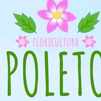 jessicapoleto178
