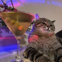 original sound - meme.aleator.brega.cife6