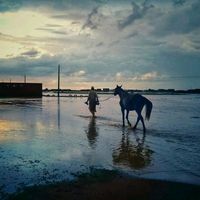 الصوت الأصلي