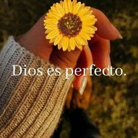 glad_ys18