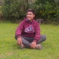 sonido original