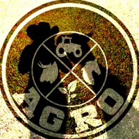 original sound - melo_edits1999