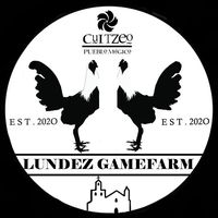 galleralundez