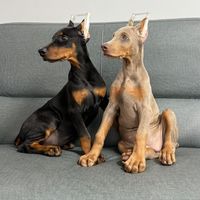 xxoo5858