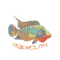 firemouthaquaristic