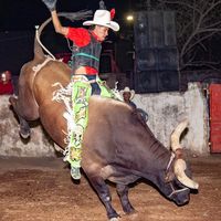 sonido original