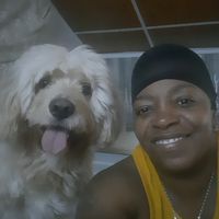 guadalupelamber