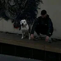 original sound - krbk_beats