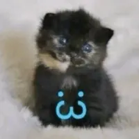 original sound - yusagiich1