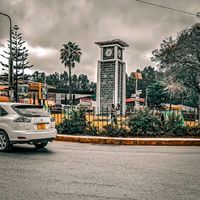patrickmbise620
