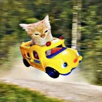 doubledoubleslipfruit