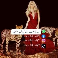 batool_6399866
