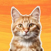 suara asli - Murfie's Music