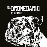 eldromedariorecords