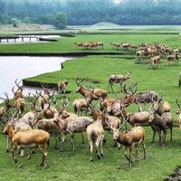 original sound - intashyo iwacu