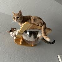 alphos.betos.potatos