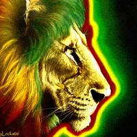 original sound - senegalaisement1