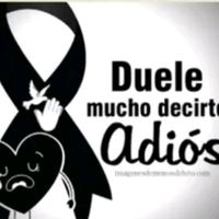 ramirezdani3320