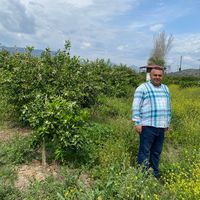 cetin0011