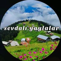 orijinal ses