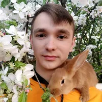 original sound - vladrabbit1