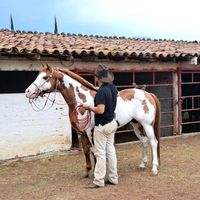 chochemt96