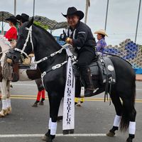 wistongonzalez180535