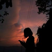 sunet original