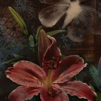 hold me in your arms